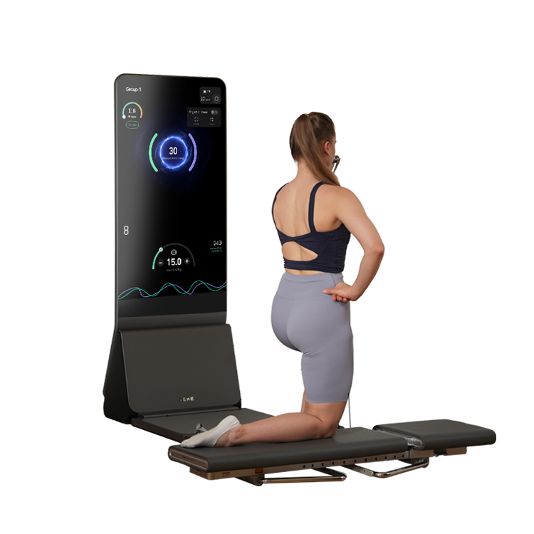Custom Logo 2 Station Home Gym - Home Gym Smith review and price