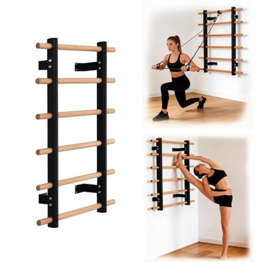 Home gym wall-mounted half bod - Home Gym Wall Mounted review and price
