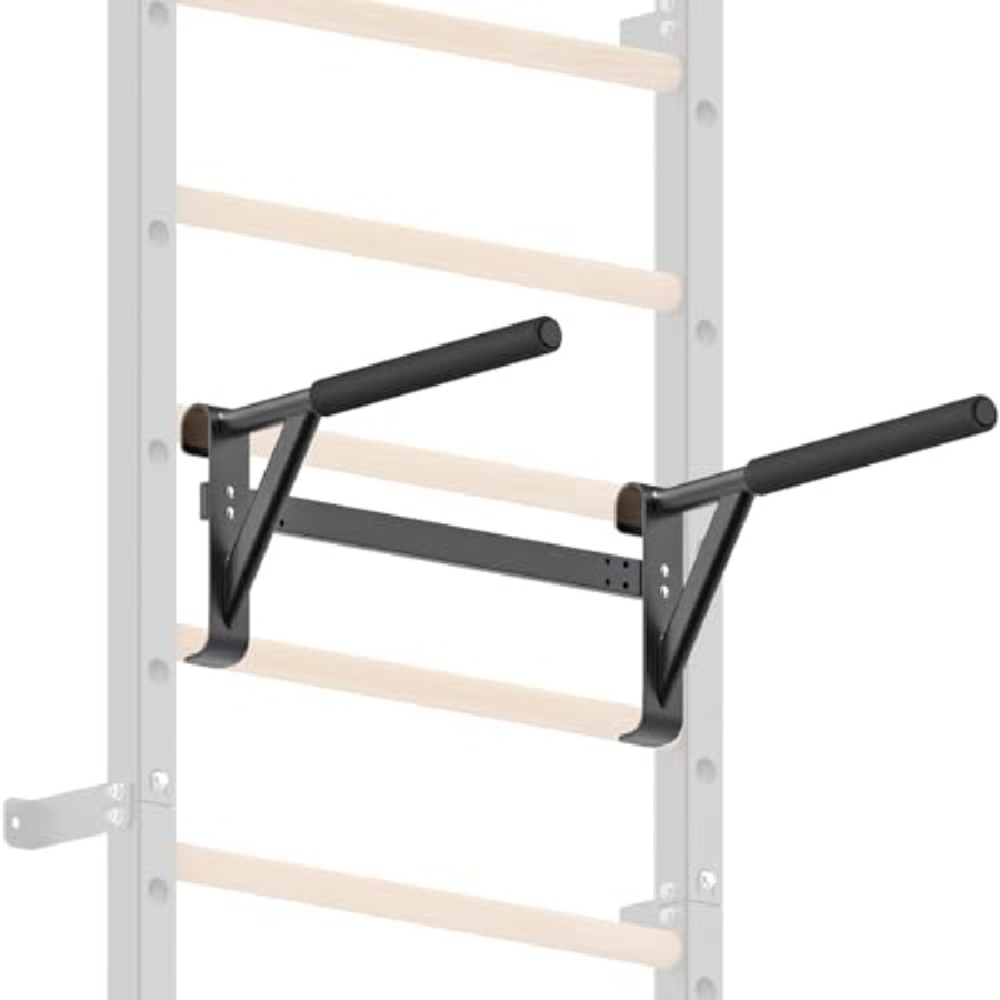 Wall Mounted Gymnastic Stall B - Home Gym Wall Mounted review and price