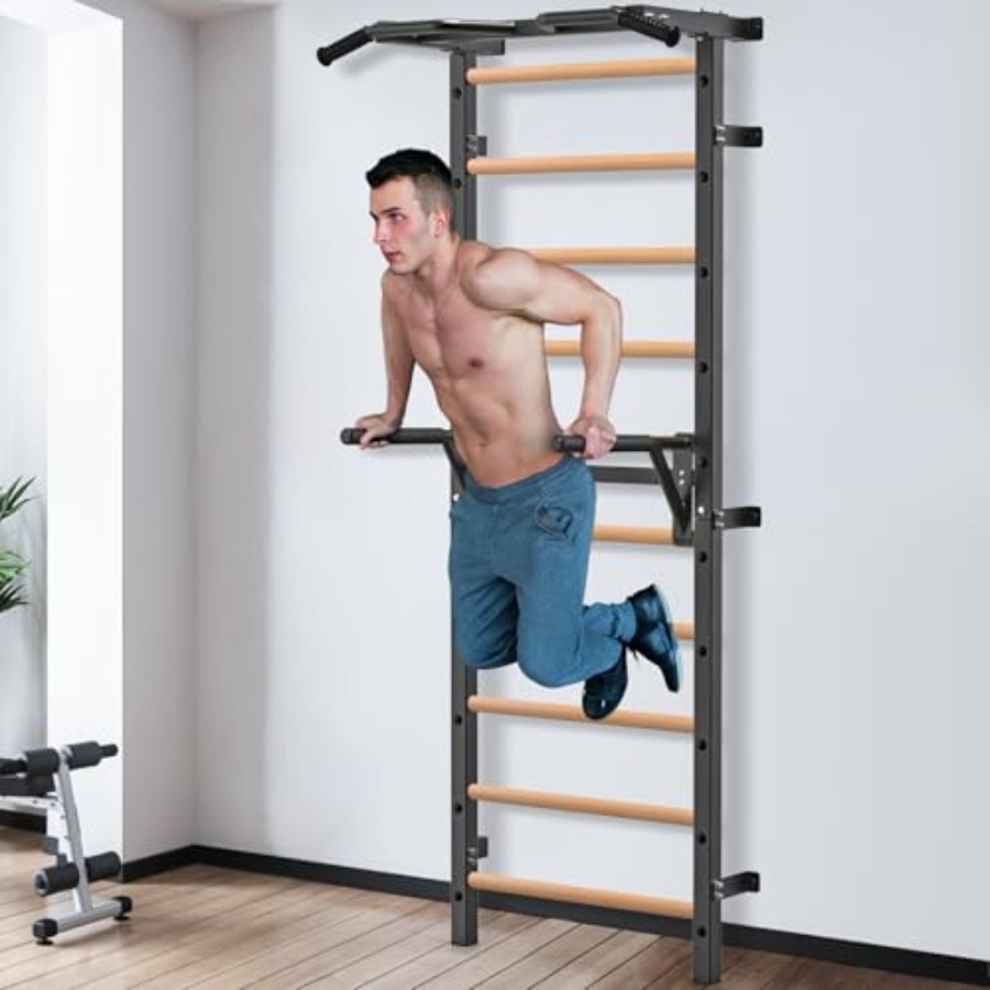 Wall Mounted Gymnastic Stall B - Home Gym Wall Mounted review and price