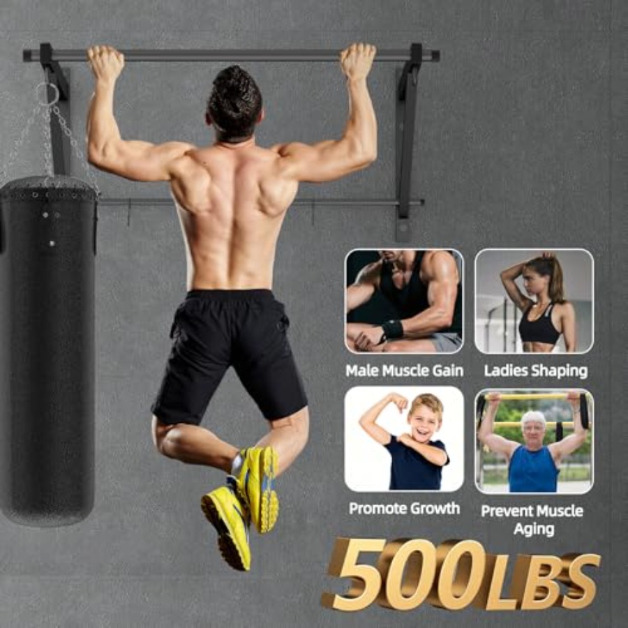 Heavy Duty Wall Mounted Chin U - Home Gym Upper Body Workout review and price