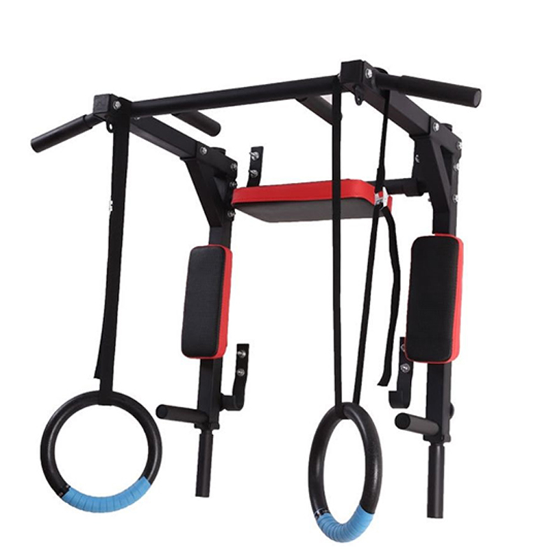 Heavy Duty Wall Mounted Parall - Home Gym Wall Mounted review and price