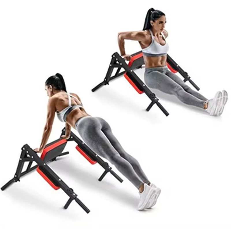 Heavy Duty Wall Mounted Parall - Home Gym Wall Mounted review and price