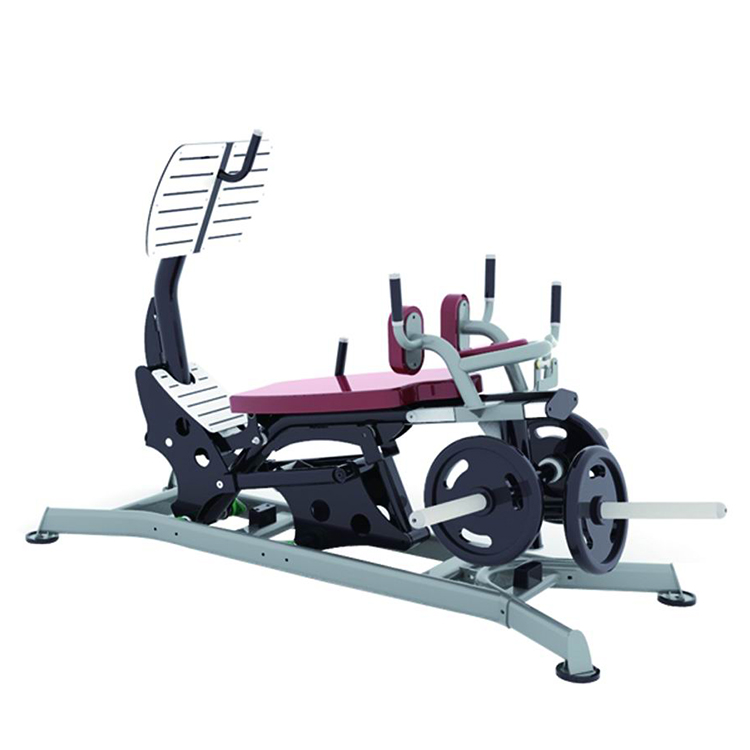 Hot Selling Gym Equipment Leg  - Home Gym With Leg Press review and price