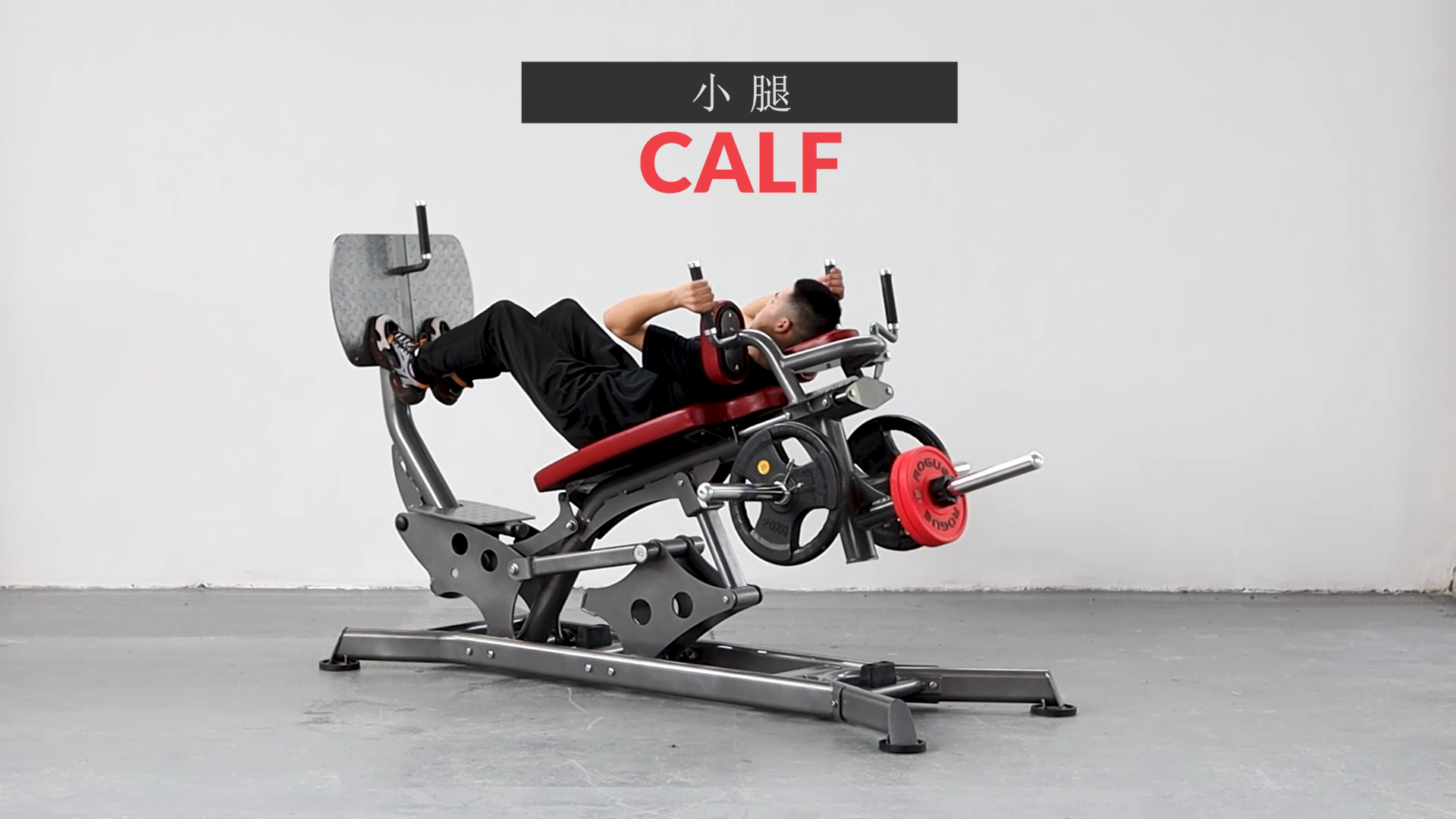 Hot Selling Gym Equipment Leg  - Home Gym With Leg Press review and price