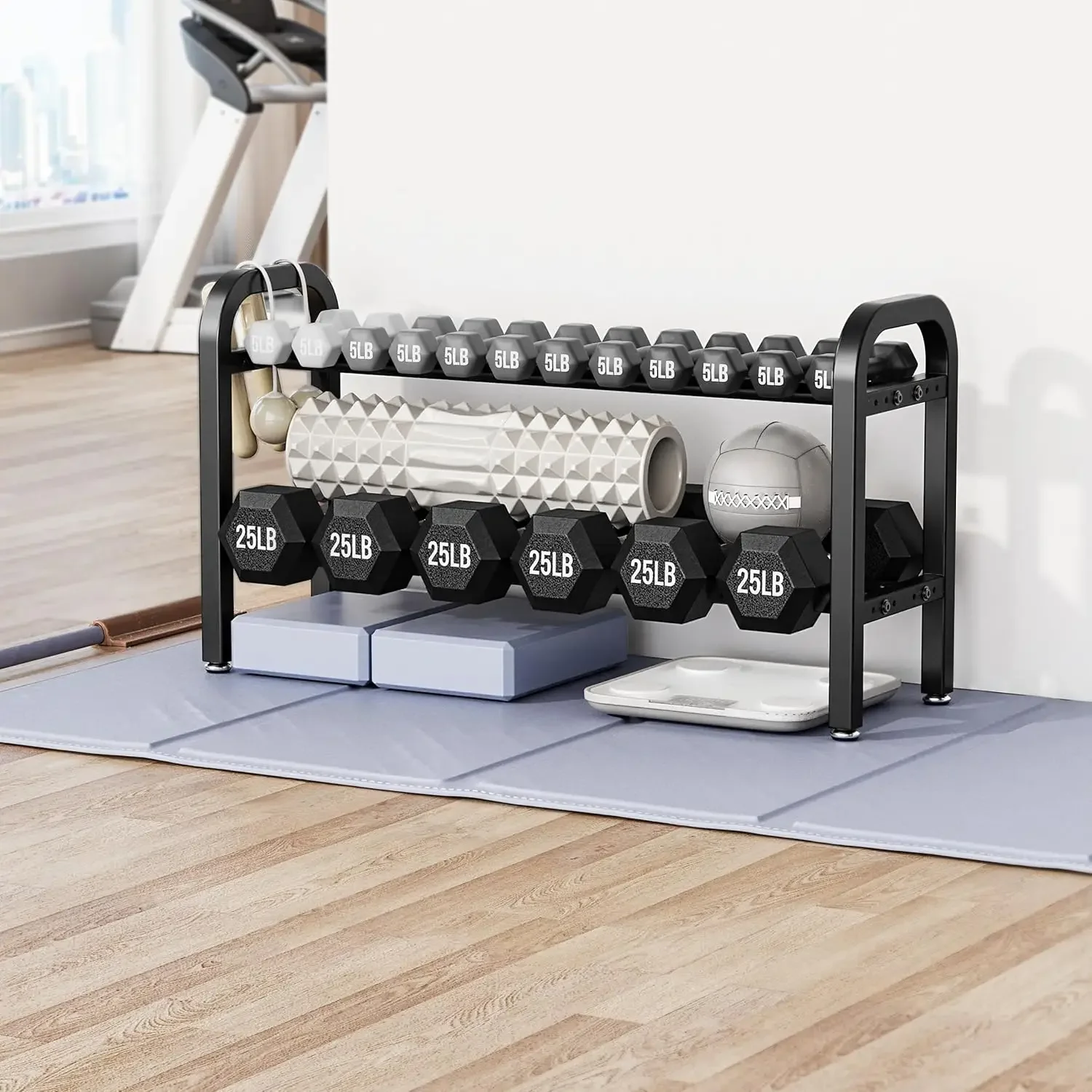2 Tier Dumbbell Rack, Weight R - Home Gym Folding Rack review and price